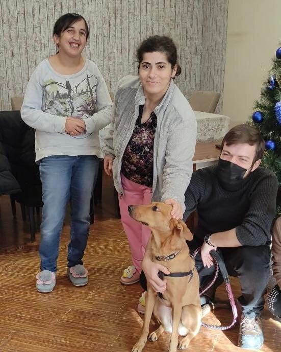 Give Vulnerable Populations Access to Therapy Dogs