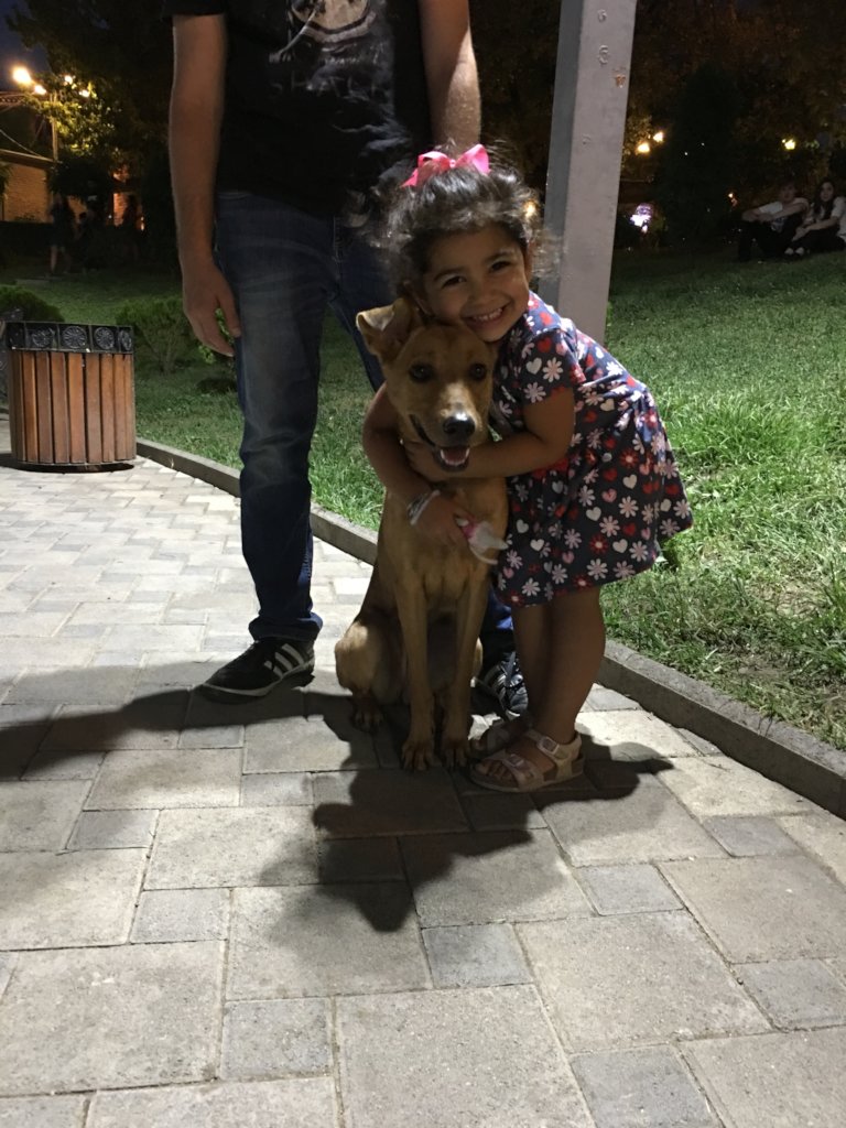 Give Vulnerable Populations Access to Therapy Dogs