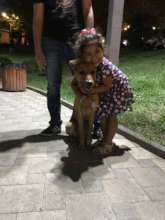 Give Vulnerable Populations Access to Therapy Dogs