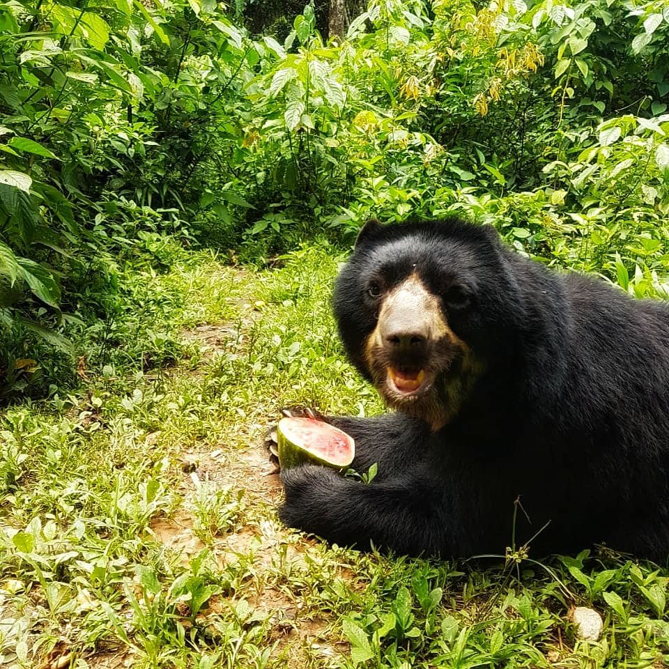 Help CIWY Survive Crisis / Ayuda CIWY en Crisis