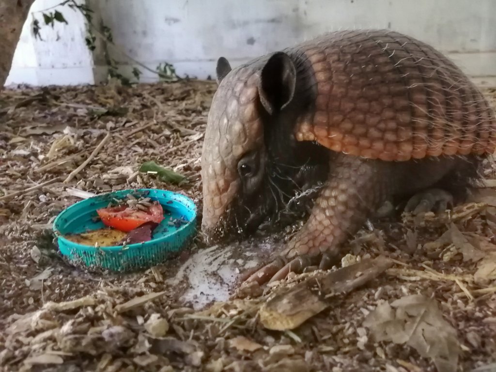 Help CIWY Survive Crisis / Ayuda CIWY en Crisis