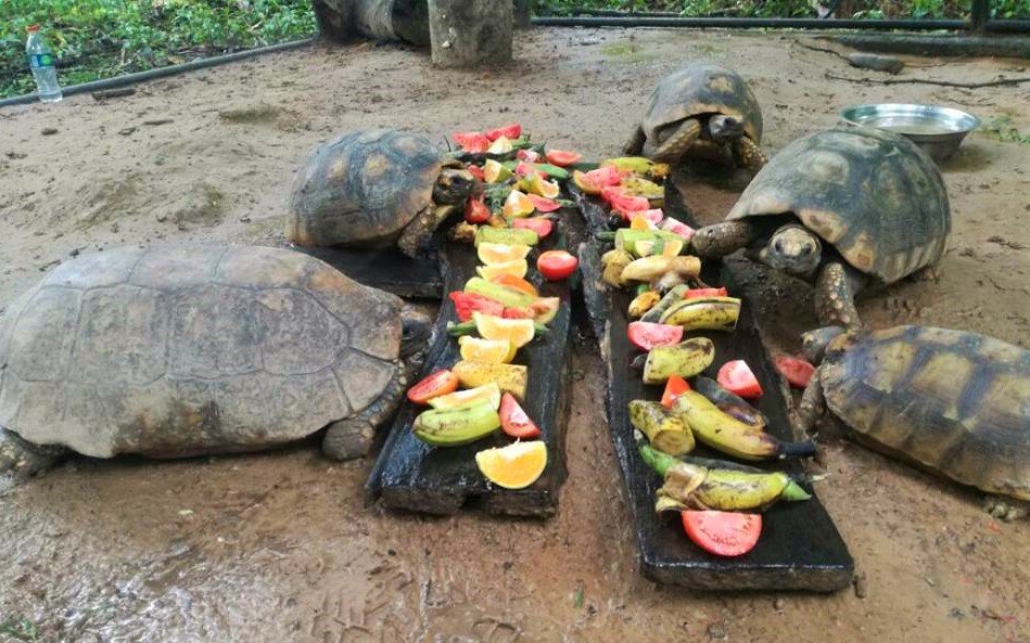 Help CIWY Survive Crisis / Ayuda CIWY en Crisis