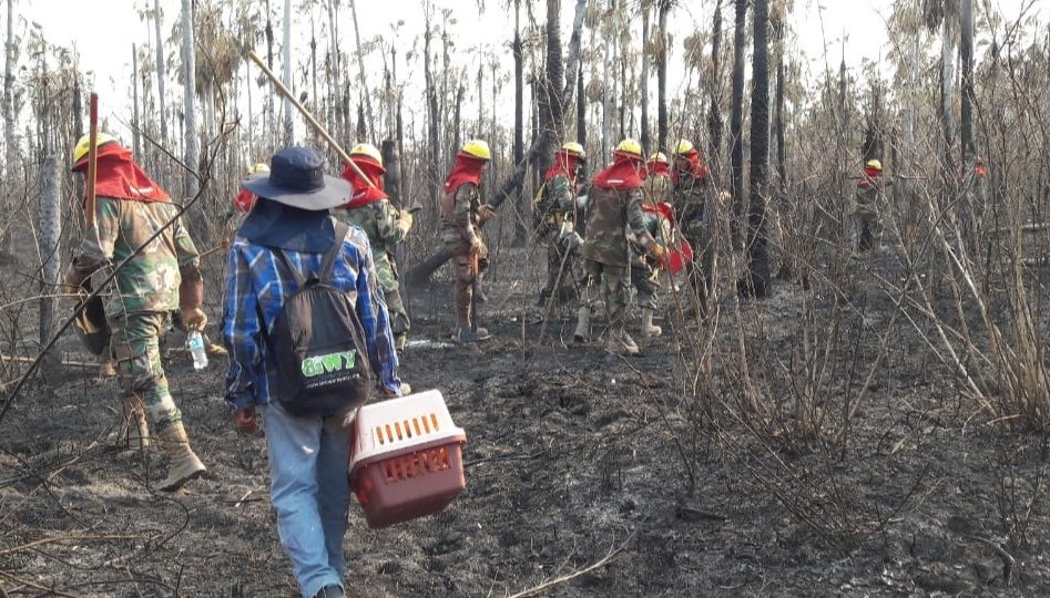 Help CIWY Survive Crisis / Ayuda CIWY en Crisis