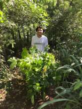 Students from local universities planting with us