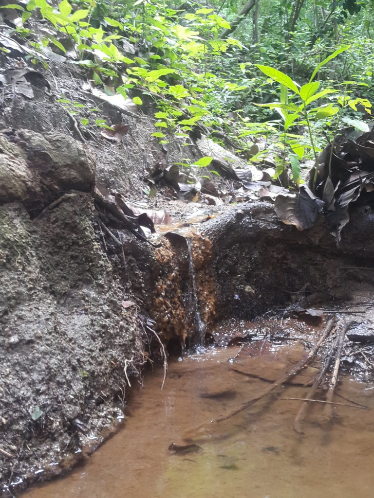 Water for jaguars and farmers in Gaira, Colombia