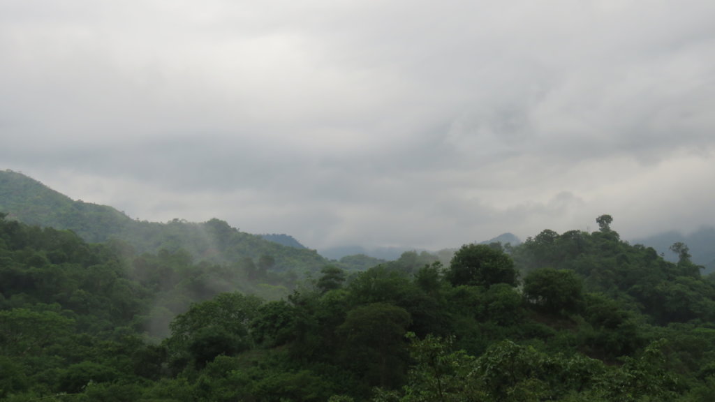Water for jaguars and farmers in Gaira, Colombia
