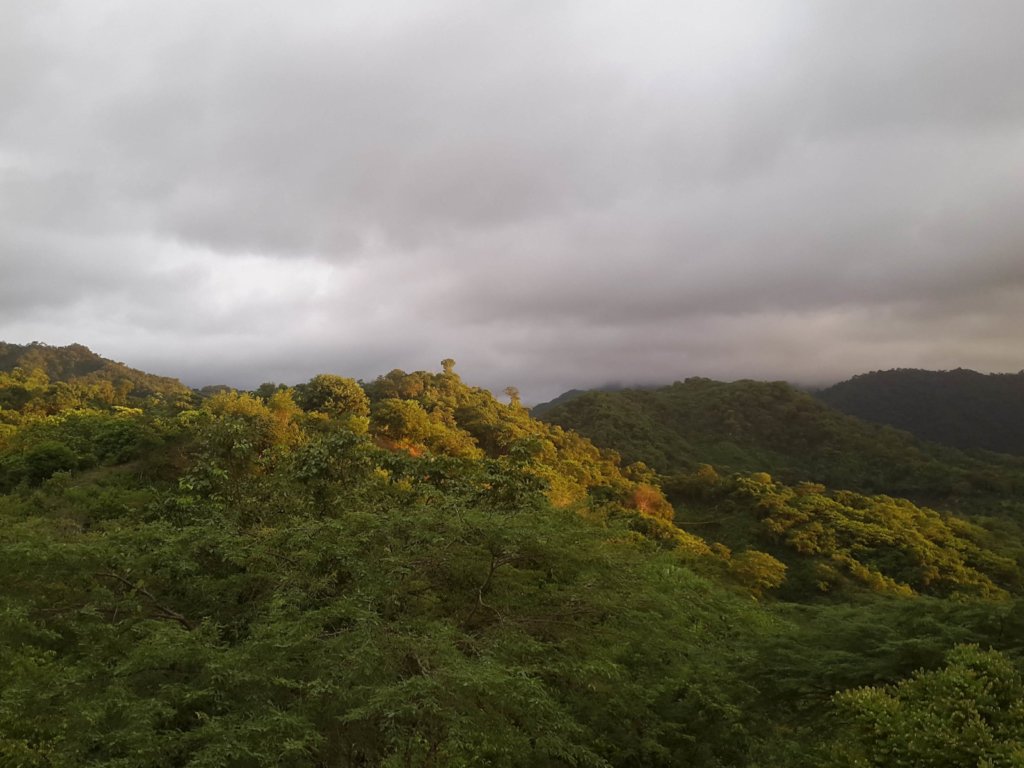 Water for jaguars and farmers in Gaira, Colombia