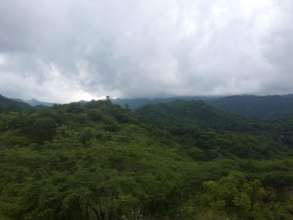 Natural reserve landscape