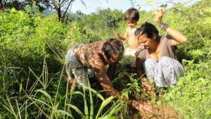 A family planting a threatened tree species