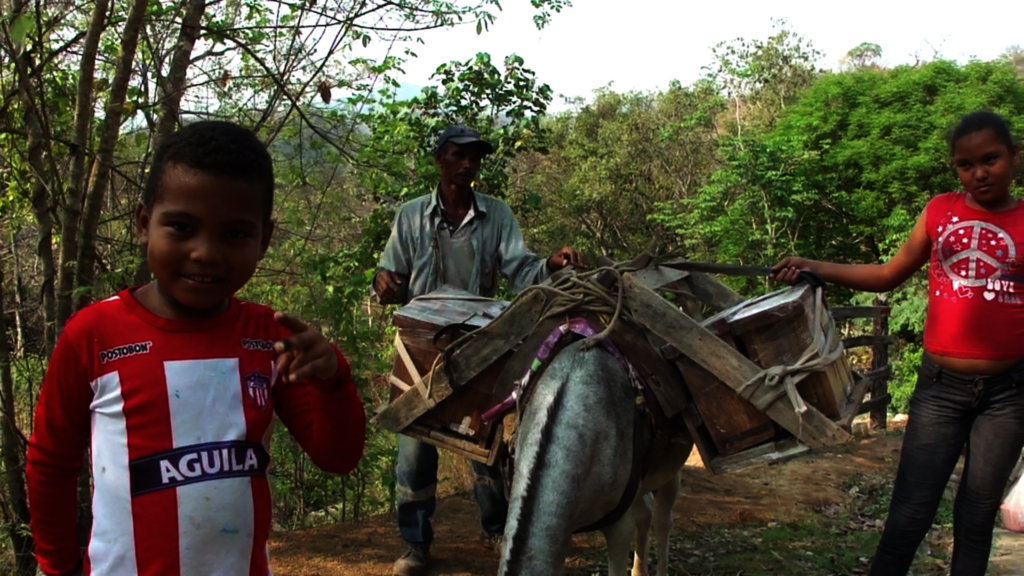 Water for jaguars and farmers in Gaira, Colombia