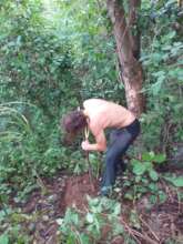 In this hole an incredible story starts