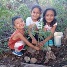 Planting in children's hearts: our future is here