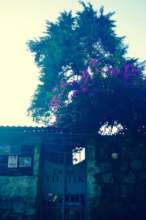 Casa Tiltik