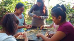 Students peeling coffee beans