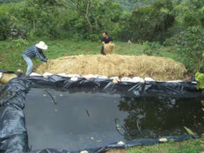 Chinampa in the agroecology workshop