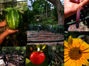 Agroecological Workshop