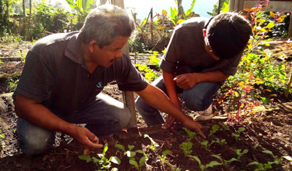 Quality education for the youth in Cuetzalan