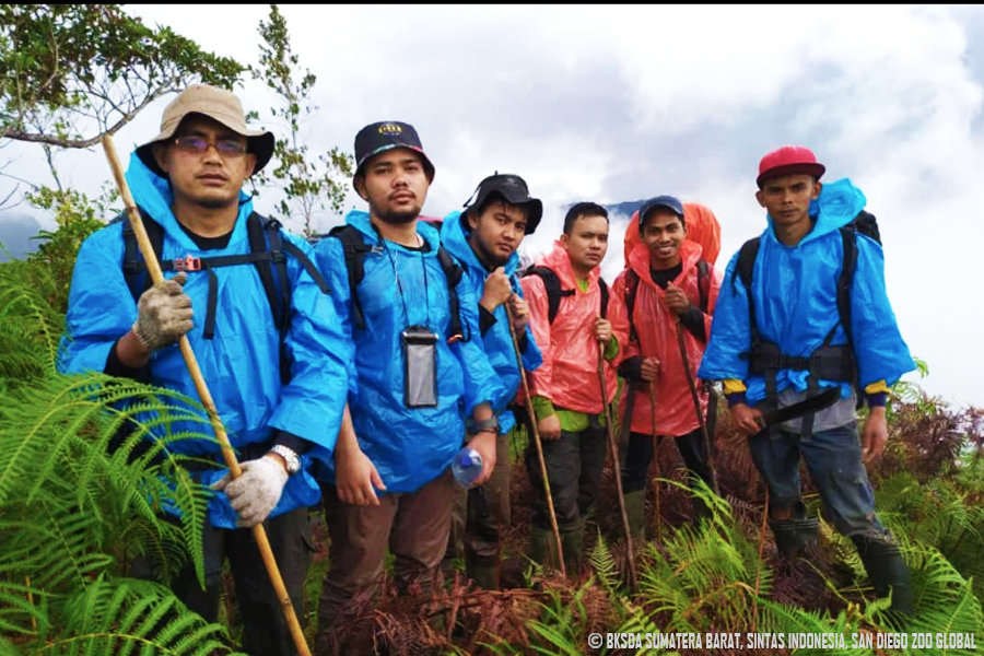 Field team