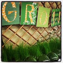 Grow! at Educare West DuPage