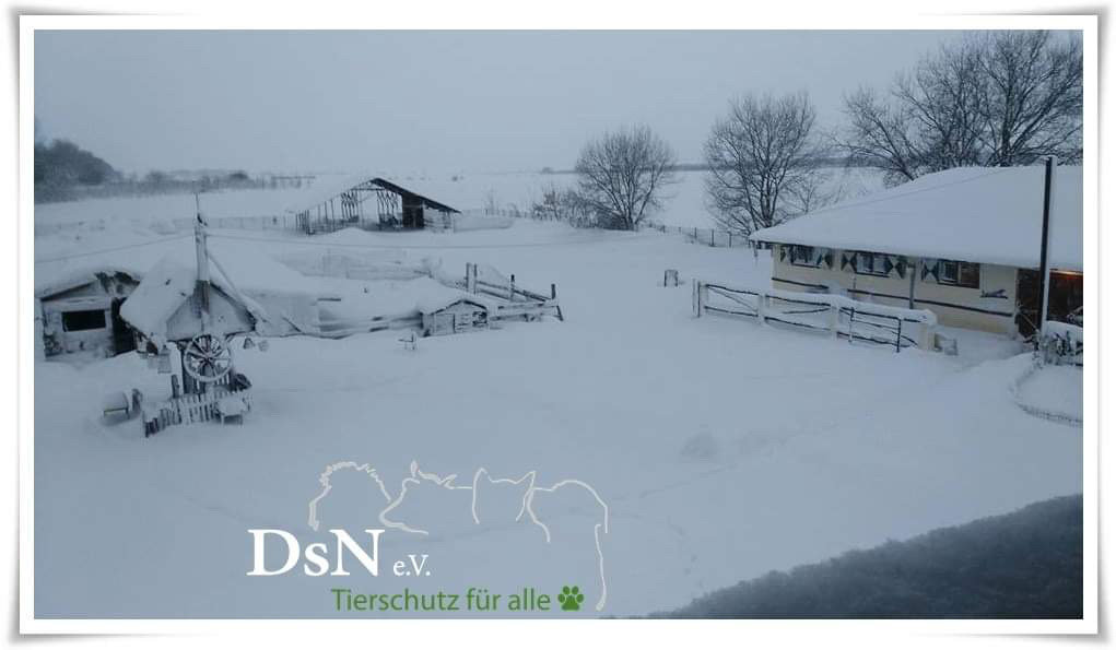 hard winter is coming