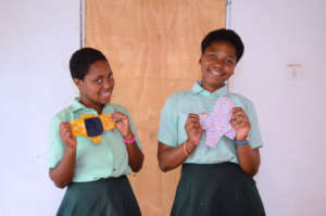 The reusable sanitary pads