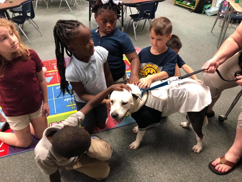 Help Save Abandoned Animals like Duke