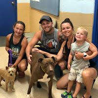 Grover Gets Adopted