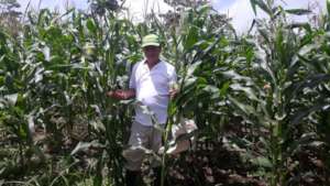 Expand ag training to more Nicaraguan farmers