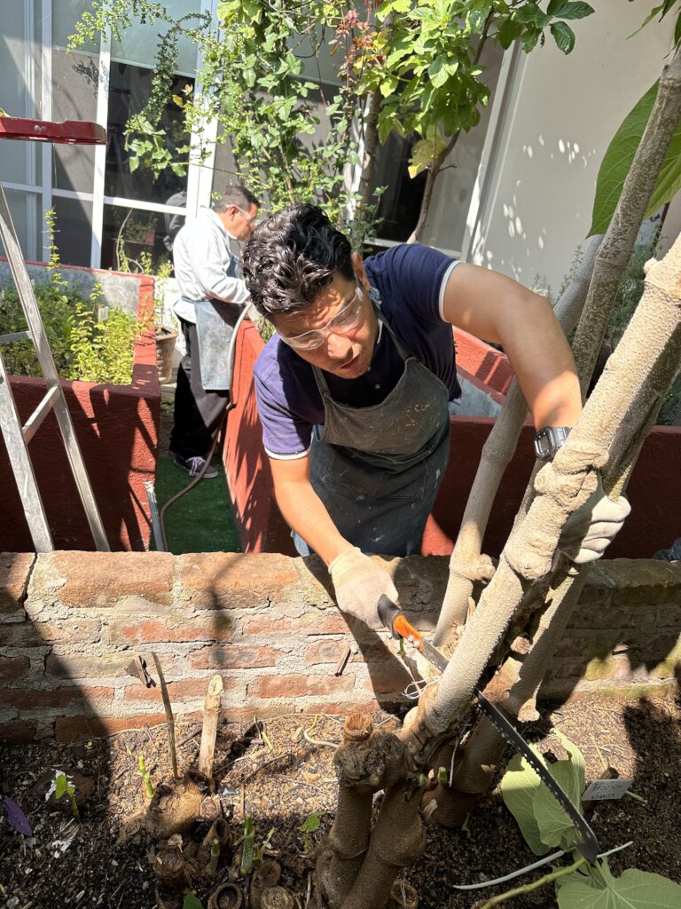 Carpentry team in gardening activities