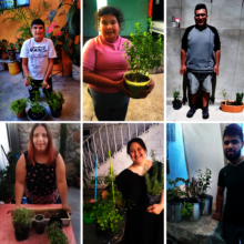 Beneficiaries proud with their own herb plants