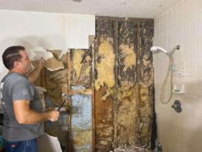 Get rid of termite and mold damage