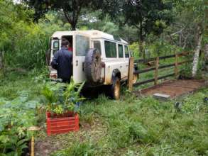 unloading the trees
