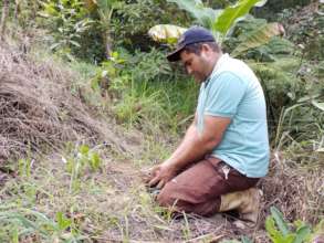 farmer planting a tree