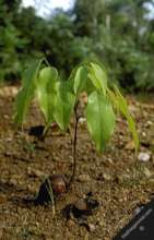 All set