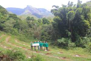 Location and we're all ready to plant