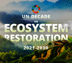 UN Decade on Ecosystem Restoration