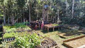 Iracambi nursery keepers