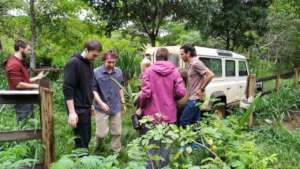 Selecting trees for planting (before covid)