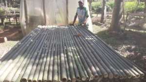 bamboo seedling table