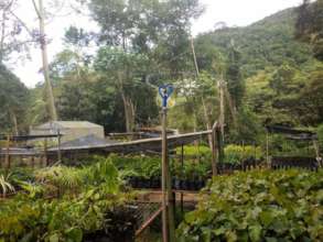 Nursery irrigation