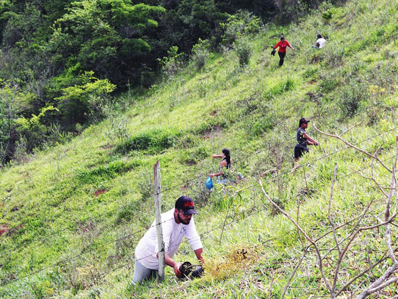 Planting trees to save the planet!
