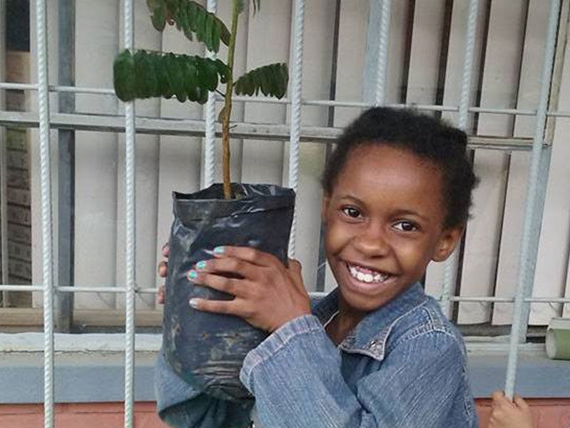 Planting trees to save the planet!