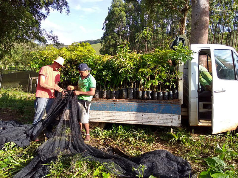Planting trees to save the planet!