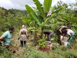 planting team