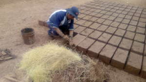 Adobe bricks being prepared for construction