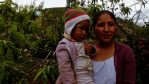 Erlinda farms cuy to pay for her child's education