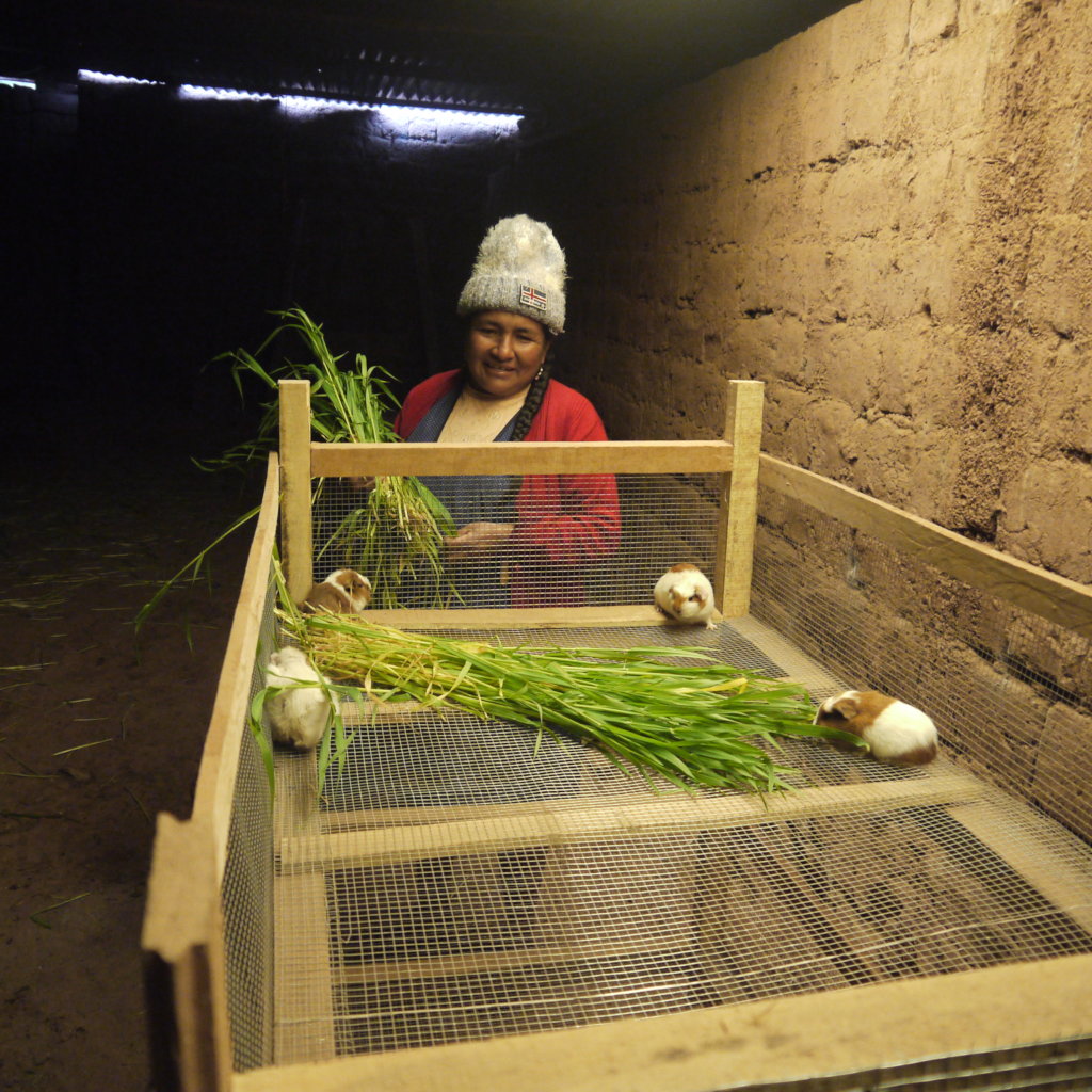Empower Peruvian Women Living in Poverty