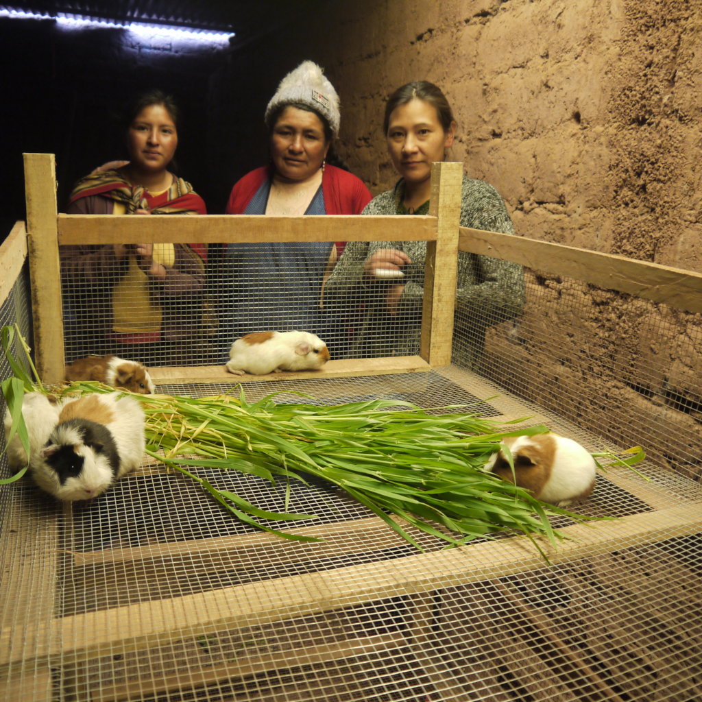 Empower Peruvian Women Living in Poverty