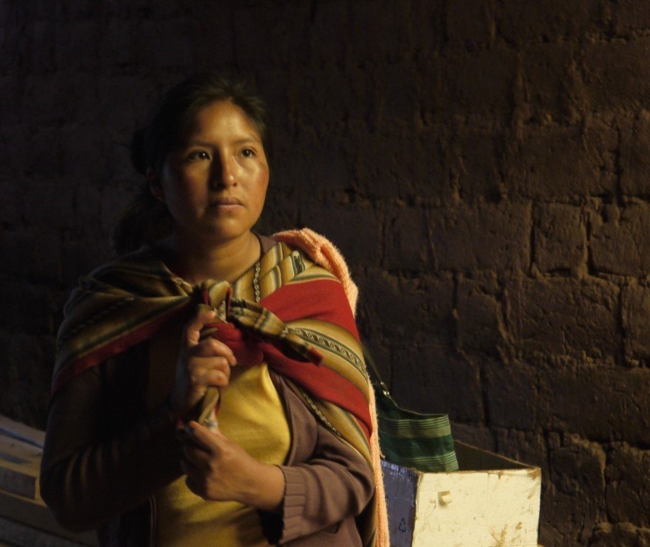 Empower Peruvian Women Living in Poverty