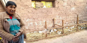 Francisca with her guinea pigs